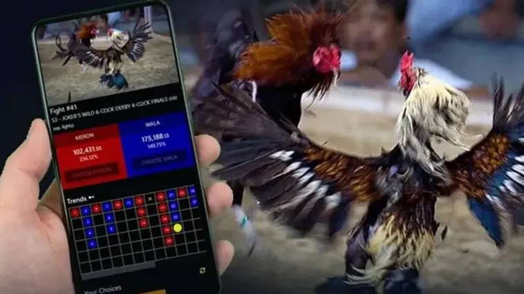 Đá Gà WW88 Đỉnh Cao Trải Nghiệm Cá Cược Không Giới Hạn